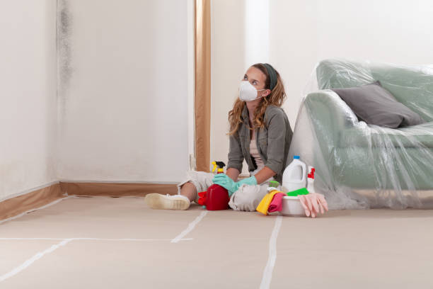 Reliable Crawl Space Mold Removal contractor in Southampton, PA by WQB Mold Removal